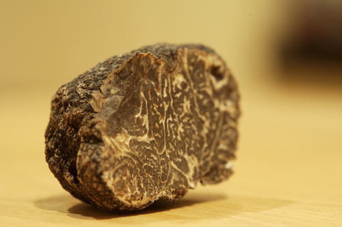 Tuber melanosporum